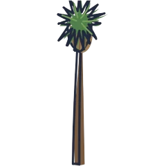 Palm, drawn for Los Angeles